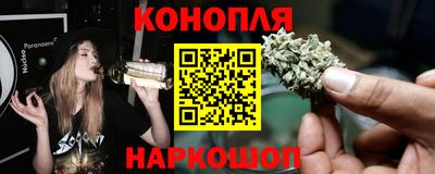 гашик Волжский