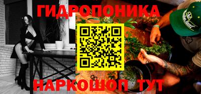гашик Волжский