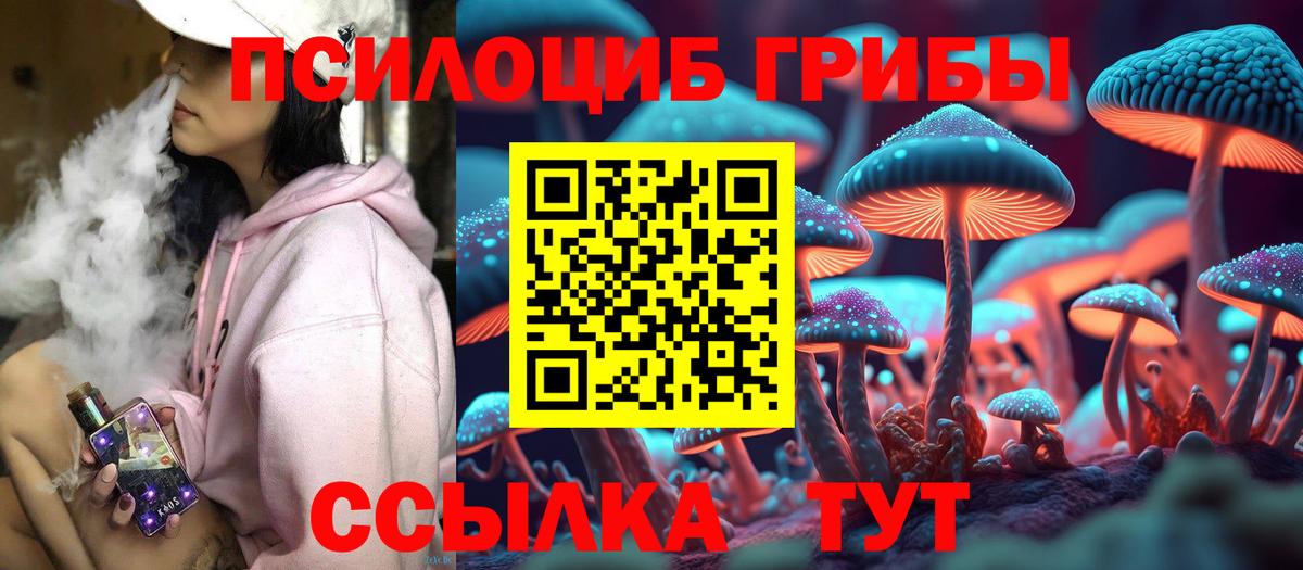 Нижнеудинск  Галлюциногенные грибы мухоморы  Галлюциногенные грибы Cubensis  Вход с VPN 